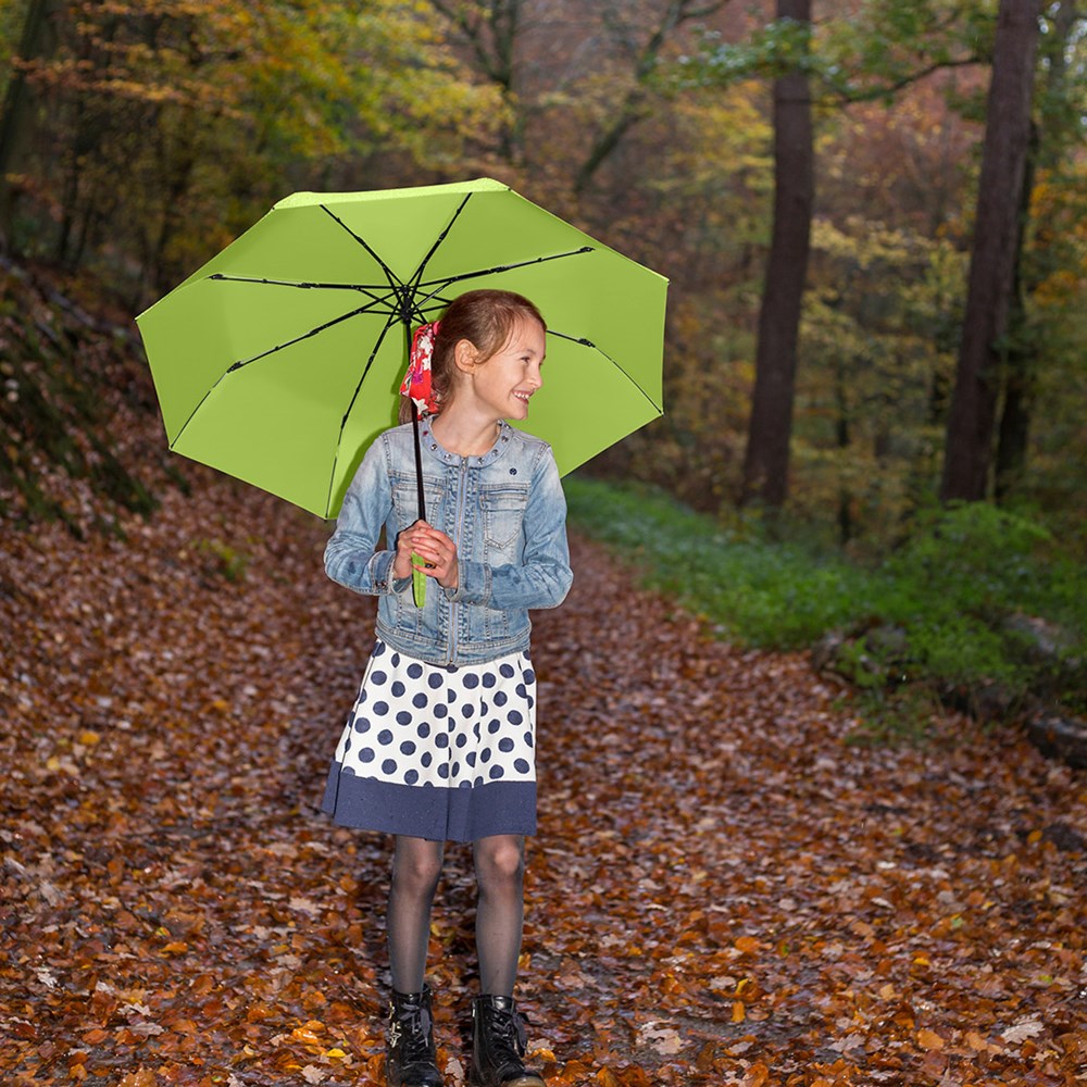 5029 Taschenschirm ÖkoBrella