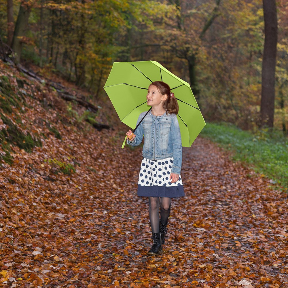 5029 Taschenschirm ÖkoBrella