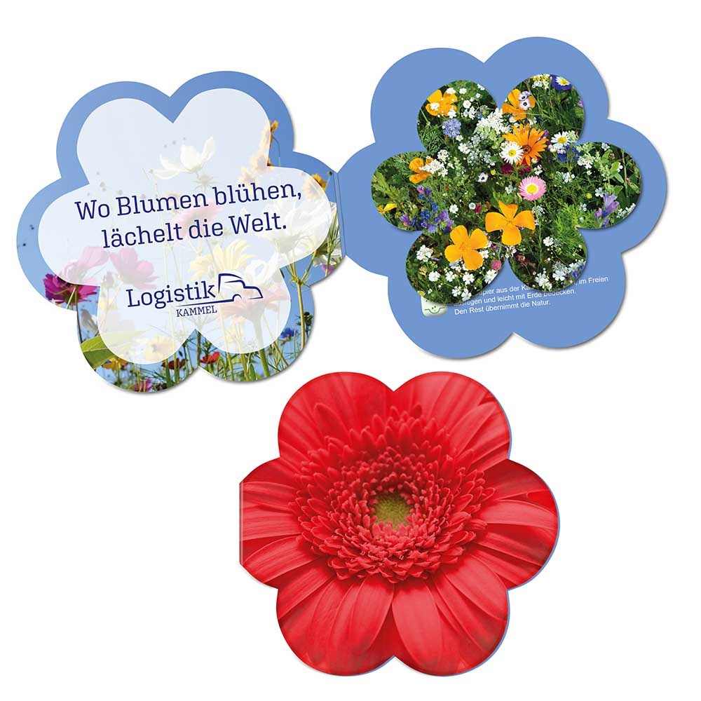 Samenpapier in Klappkärtchen Blume - Blümchen