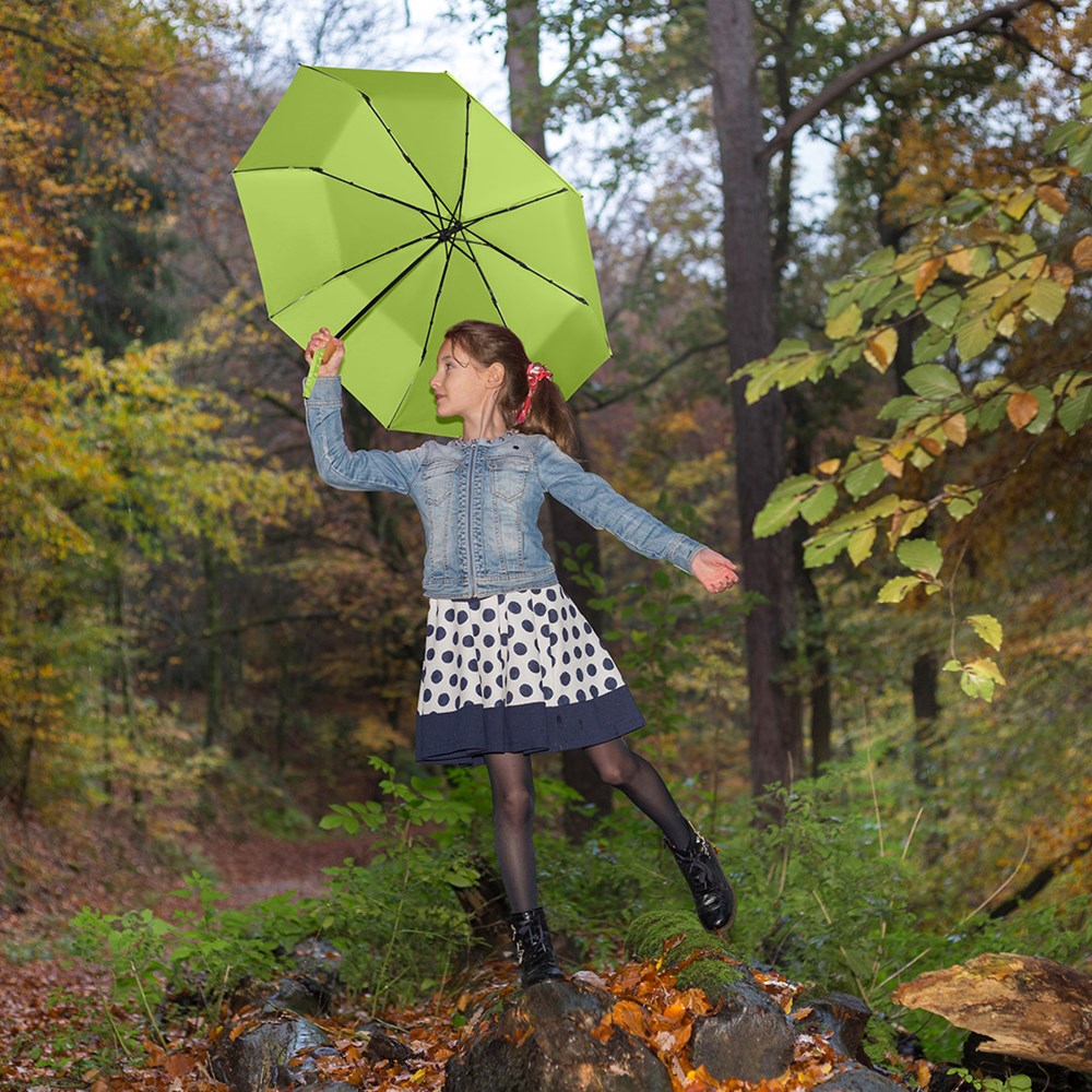 5029 Taschenschirm ÖkoBrella